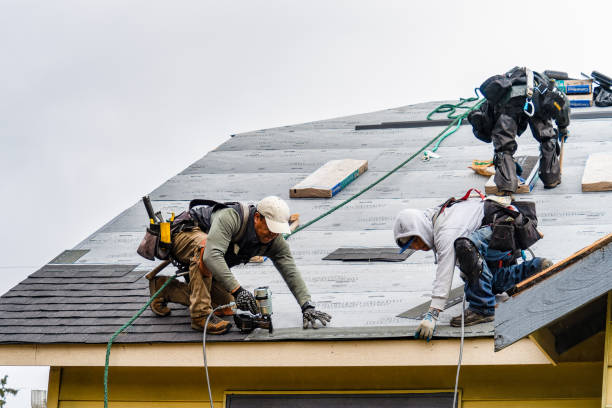 Professional Storm Damage Roof Repair technician working in Round Top, TX